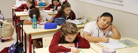 Educación Primaria Colexio San Jorge
